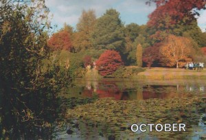 October - Mrs P. Sibley